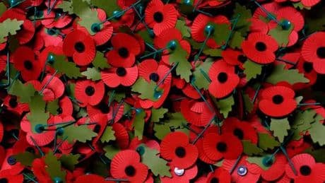 Poppyscotland appealing for volunteers in Wishaw and Shotts