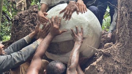 Un árbol cae en el Amazonas y deja al descubierto siete esferas que no deberían estar ahí