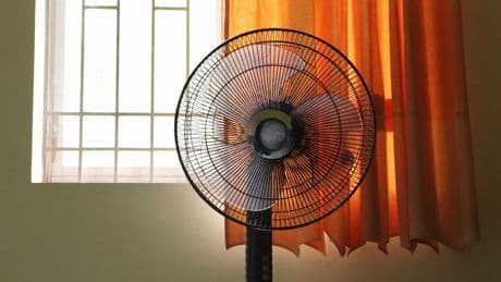 Expert Warns Of 'Widespread Death' As UK Enters Fourth Heatwave