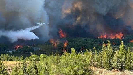 Çanakkale'de yangın büyüdü, boğaz, havalimanı ve kara yolu kapatıldı: Vatandaşlar deniz yoluyla tahliye ediliyor