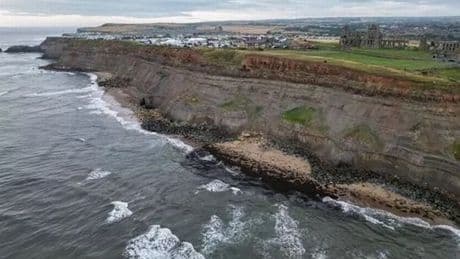 Four people who died in Whitby Cliffs fall tragedies identified