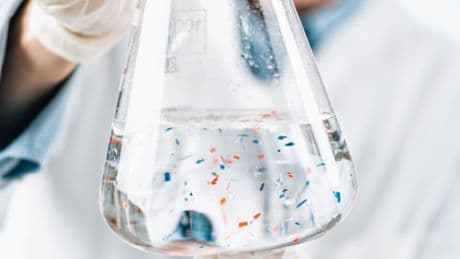 Microplastiche nei fluidi riproduttivi umani, 'timori per la fertilità'