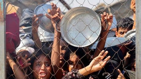 “J’ai tellement faim” : le cri déchirant d’une journaliste à Gaza