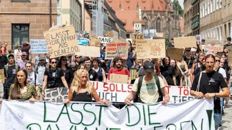 Demonstration: Protest gegen Pavian-Tötung - "Schande für Tierschutz"