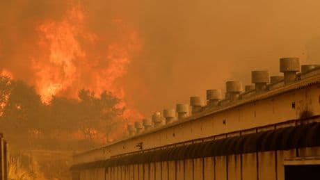 „Nahezu aussichtsloser Kampf“ – Verheerendster Waldbrand seit zwei Jahrzehnten tobt weiter