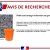 Qui a perdu un "seau orange rempli d'argent" ? La gendarmerie du Puy-de-Dôme lance un avis de recherche insolite