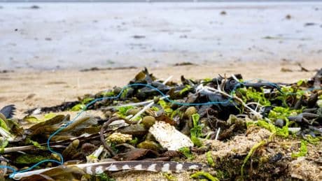 Umwelt: Recycling allein ist nicht die Lösung