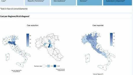 Chikungunya, casi in aumento: focolaio a Modena e Verona, salgono le infezioni in Veneto. La mappa dei contagi
