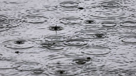 Wetter: Regen und Gewitter erwartet