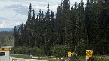 3 Workers Freed From Collapsed Mine in Western Canada