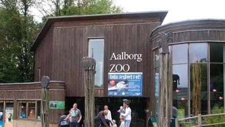 Un zoo danés pide la donación de mascotas para alimentar a sus carnívoros de forma “más natural”