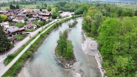 Belohnung für Hinweise nach grausamer Tat - 30 Meter lange Blutspur: Täter quälen Biber zu Tode