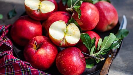 Besser nicht zu Supermarkt-Äpfeln greifen: Welche Sorten wirklich gesund sind