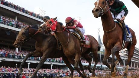 The 20 Horses Competing In The 2025 Kentucky Derby