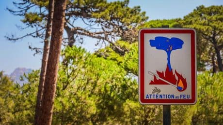 « L’exceptionnel devient la norme » : comment les scientifiques s’adaptent pour mieux lutter contre les incendies ?