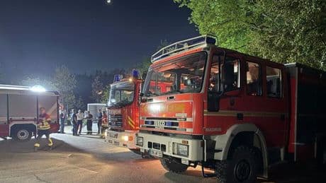 Feuerwehr: 15.000 Quadratmeter Wald in Brand - Großeinsatz