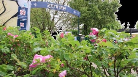 Treptower Frühling: Die schönsten Bilder vom Volksfest