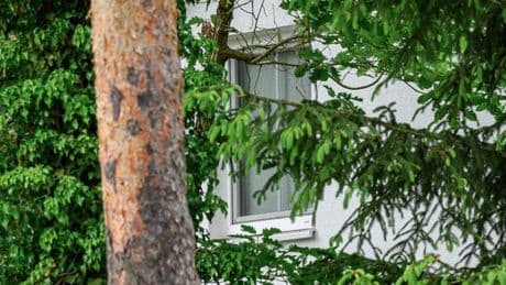 Brandenburg: Durchsuchung wegen Verdacht auf pro-russische Terrorunterstützung