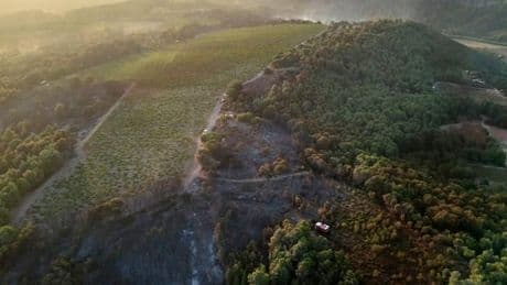 Feux de forêt : les Bouches-du-Rhône en vigilance rouge ce dimanche