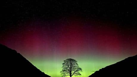 Pair who felled Sycamore Gap tree jailed for over four years
