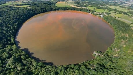 Sie färbt das Wasser blutrot - Giftige Alge breitet sich in unseren Badeseen aus