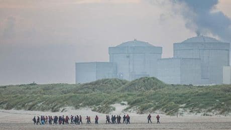 Una invasión de medusas obliga a paralizar la mayor central nuclear de Francia