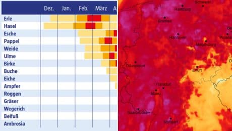 Pollen-Alarm in Deutschland: Diese Karte zeigt, wo es jetzt besonders schlimm ist