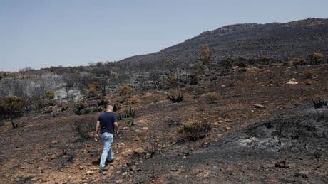 Nuevo incendio en Tarifa, en Sierra de la Plata
