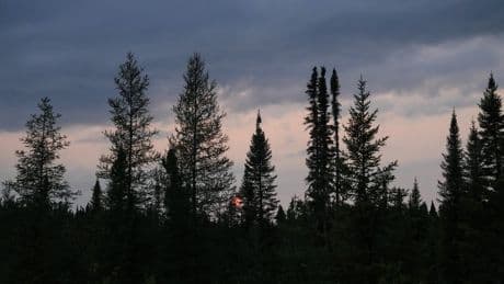 Ontario set to begin building road to the Ring of Fire