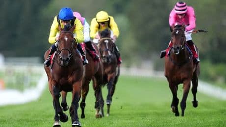 Newsboy’s horseracing tips for Thursday’s five meetings, including Sandown Nap