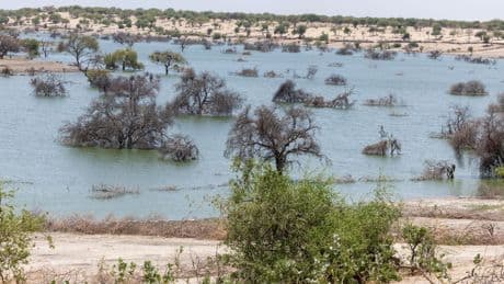Changement climatique : l’expansion du lac Tchad bouleverse la vie des populations