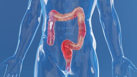 Studie bestätigt: Dieses Lebensmittel bekämpft Entzündungen und stärkt das Immunsystem