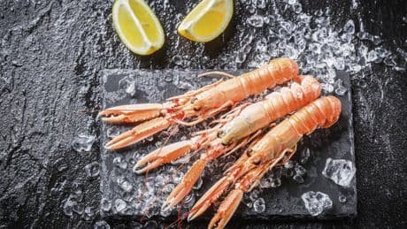 La langoustine, on en pince pour elle