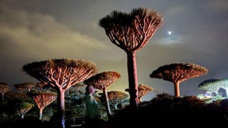 Dark tourists flock to 'alien island' you can only get to via WhatsApp
