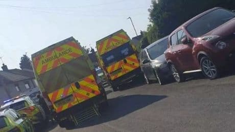 Dog attack leaves boys, 2 and 3, seriously injured