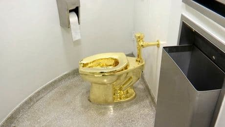 Man who tried to sell $6.4m gold toilet stolen from English country house is spared jail