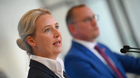 Um mehr Wähler zu gewinnen - Plötzlich setzt die AfD auf dieses Thema!
