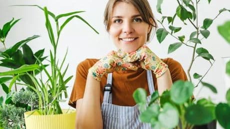 Best air-purifying indoor plants that clean your bedroom for 'better sleep'