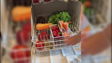 ¿Se pueden lavar las frutas en el lavavajillas? Esto es lo que dicen los expertos