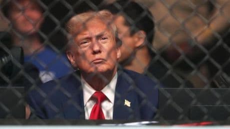 Brutalo-Sport im Weißen Haus? Trump will Käfigkampf ausrichten
