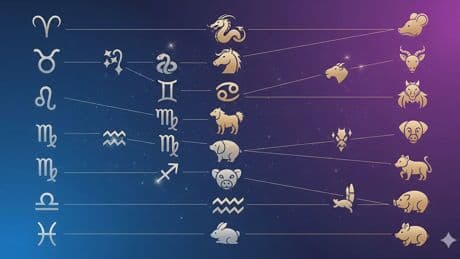 Los signos del zodiaco frente al horóscopo chino: descubre los puntos de afinidad con tu animal