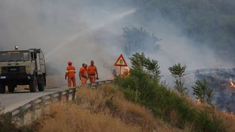 İtalya'nın Sicilya Adası'nda orman yangınları devam ediyor