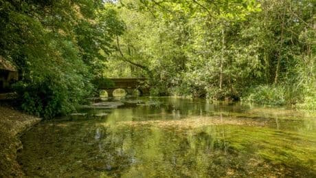 What is a ‘personhood’ and why has this chalk stream been granted one?