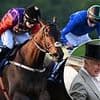 Willie Mullins hopes to put on a show fit for the King as Reaching High aims to emulate his father Estimate by providing a Royal winner at Ascot