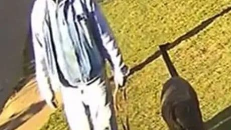Woman mauled by huge ‘Mastiff’ in horror attack on seafront before dog & owner fled with CCTV released