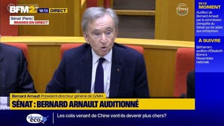 Sénat: Bernard Arnault "un peu choqué" par un article du journal du rapporteur de la commission