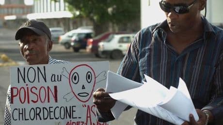 Chlordécone aux Antilles : le Sénat adopte un texte de loi qui reconnaît la « part de responsabilité » de l’Etat