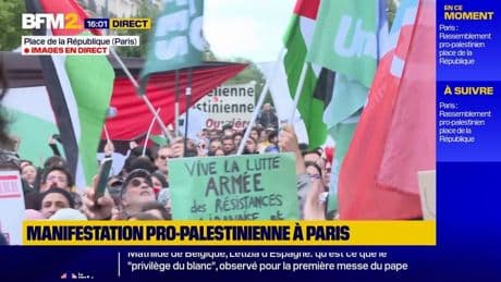 Paris: plusieurs centaines de personnes manifestent en soutien à la Palestine