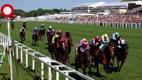 Tragedy as Harry’s Girl dies at Royal Ascot festival after Queen Mary Stakes fall