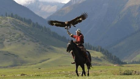 Horseback archery? Mas-wrestling? Kazakhstan? Inside the weird World Nomad Games